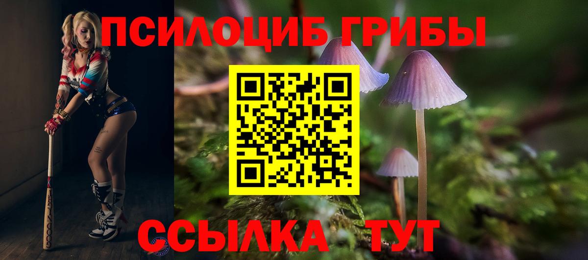 Ставрополь  Галлюциногенные грибы прущие грибы  Вход с VPN 
