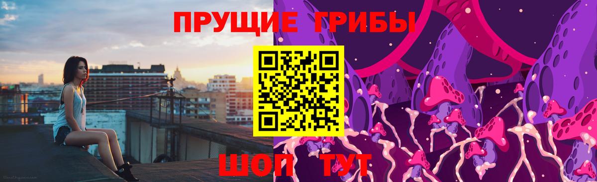 Псилоцибиновые грибы GOLDEN TEACHER Ставрополь